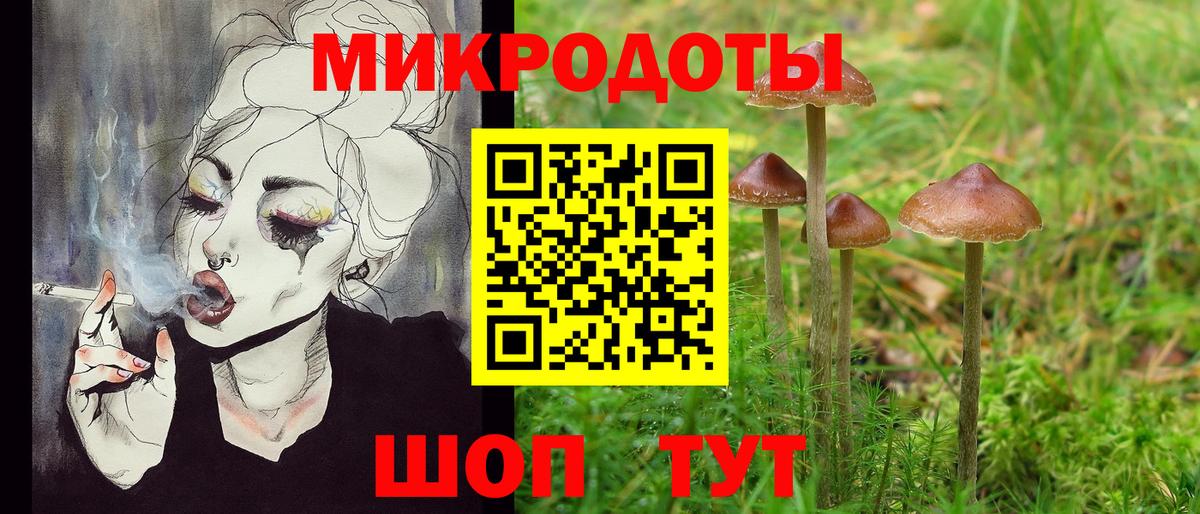 Псилоцибиновые грибы Psilocybe  Вход с VPN  наркота  Петрозаводск  Псилоцибиновые грибы Cubensis 